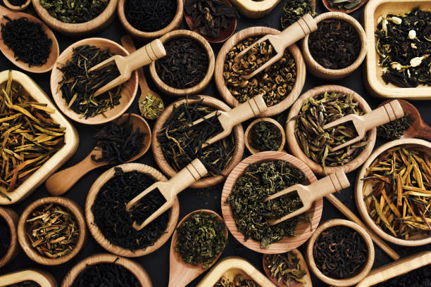 Istockphoto 2187915538 612x612